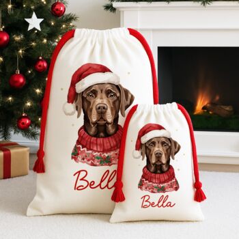 Personalised Chocolate Labrador Santa Sack, 2 of 3