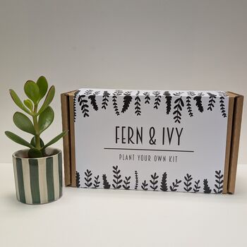 Plant Your Own Succulent Kit, 12 of 12