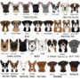 Personalised Dog Varsity Vacuum Water Bottle, thumbnail 4 of 12
