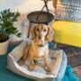 Luxury Neutral Fleeced Dog Bed, thumbnail 3 of 4