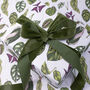 Botanical Gift Wrap 'Houseplants' White, thumbnail 2 of 4