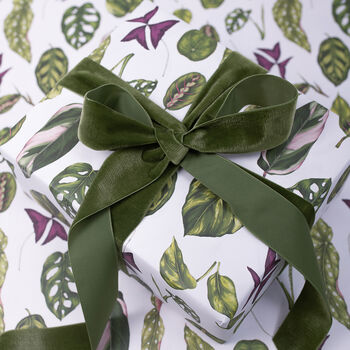 Botanical Gift Wrap 'Houseplants' White, 2 of 4