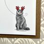 Tabby Cat Christmas Card, thumbnail 5 of 5