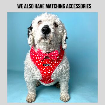 Red Valentine Heart Dog Collar, 3 of 3
