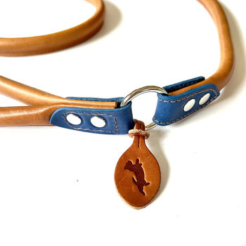 Blue Rolled Leather Slip Lead, 4 of 5