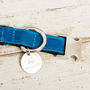 Blue Turquoise Velvet Dog Collar Bow Tie, thumbnail 3 of 5