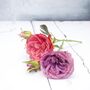 Luxury Summer Hand Tied Peony Bouquet, thumbnail 5 of 12