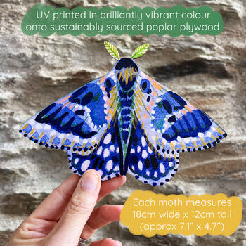 Colourful Wooden Moth Decorations, 2 of 9