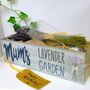 Personalised Lavender Garden, thumbnail 2 of 5