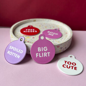 Cheeky Slogans Pet ID Tags, 8 of 8