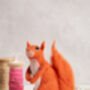 Red Squirrel Needle Felting Kit, thumbnail 3 of 8