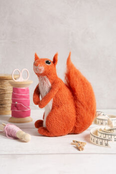 Red Squirrel Needle Felting Kit, 3 of 8