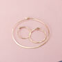 Circle Hoop Earrings In 14k Gold Fill, thumbnail 2 of 5