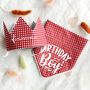 Gingham Dog Birthday Bandana And Hat Set, thumbnail 1 of 11