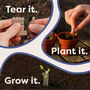 Personalised Relaxation Time Seedsticks, thumbnail 3 of 11