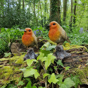 Pair Of Robin On A Tree Stump Garden Ornaments, 2 of 11