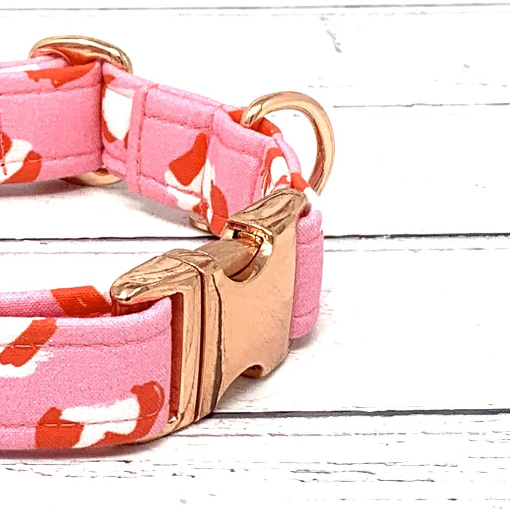 pink leopard print dog collar by the spotted dog company