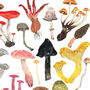 Mushroom And Toadstools Print, thumbnail 7 of 8