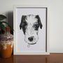 Hand Painted Personalised Custom Dog Portrait, thumbnail 4 of 7