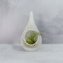 Teardrop Planter | Matte White, thumbnail 1 of 6