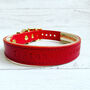 Personalised Padded Luxury Leather Dog Collar, thumbnail 6 of 12