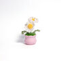 Joyful Daisy And Tulip Crochet Plant Pot Collection, thumbnail 3 of 7