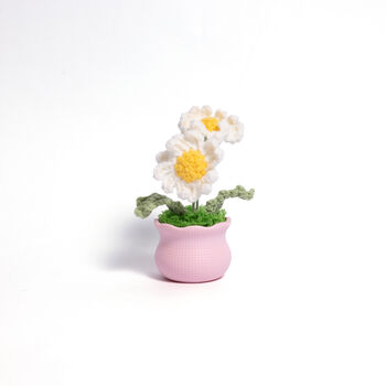 Joyful Daisy And Tulip Crochet Plant Pot Collection, 3 of 7
