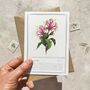 Set Of Six Pink, Orange And Yellow Floral Notecards And Envelopes, thumbnail 3 of 11