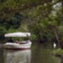 Picnic Cruise Experience On The River In Oxford For A Family Of Four, thumbnail 6 of 7