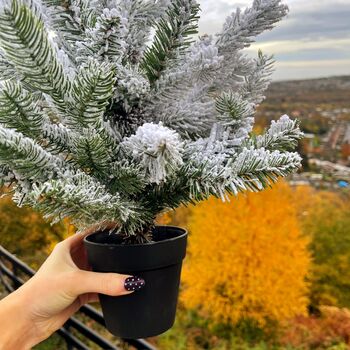 Christmas Snowy Table Top Tree, 3 of 4