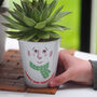 Personalised Hair Transplant Pot With Cress Seeds, thumbnail 1 of 3