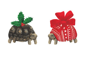Christmas Tortoise Christmas Cards, 3 of 11