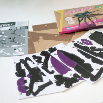 Build Your Own Personalised Stag Beetle Kit, 7 of 9