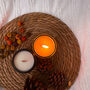 Nights By The Bonfire Apothecary Candle, thumbnail 3 of 3