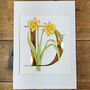 D Is For Daffodils Hand Gilded Print, thumbnail 1 of 5