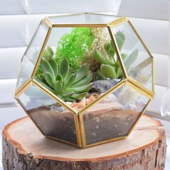 Gold Geometric Terrarium Kit With Succulent Plant Lover Gift, 2 of 12