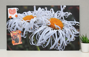 Personalised Photo Magnetic Noticeboard, 5 of 8