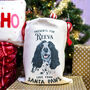 Hand Drawn Dog Christmas Present Sack Personalised, thumbnail 8 of 9