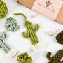 Make Your Own Mini Macrame Cactus Craft Kit, thumbnail 3 of 12