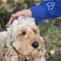 I’d Rather Be At Home With My Dog Sweatshirt, thumbnail 4 of 7