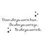 Dream What You Want To Dream Wall Sticker, thumbnail 3 of 4