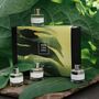 Parterre Fragrances Discovery Set Of Four Edp 10ml, thumbnail 1 of 3