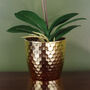 Purple White Orchid Artificial 50cm Gold Pot Real Touch, thumbnail 2 of 4