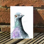 Inky Pigeon Post Postcards, thumbnail 6 of 8