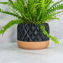 Carbon Gem Planter, thumbnail 3 of 4