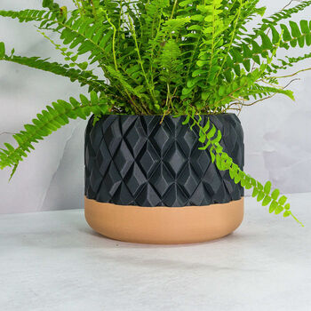 Carbon Gem Planter, 3 of 4