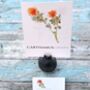 Pack 12 Carthamus Original Botanical Wedding Place Name Cards Double Sided, thumbnail 3 of 6