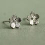 Forget Me Not Flower Stud Earrings, thumbnail 1 of 6