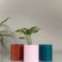 Personalised Name Plant Pot With Optional Inner Pot, thumbnail 4 of 8