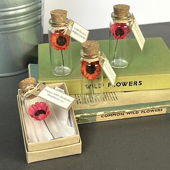 Tiny Gerbera Daisy In A Bottle With Personalised Tag, 4 of 11